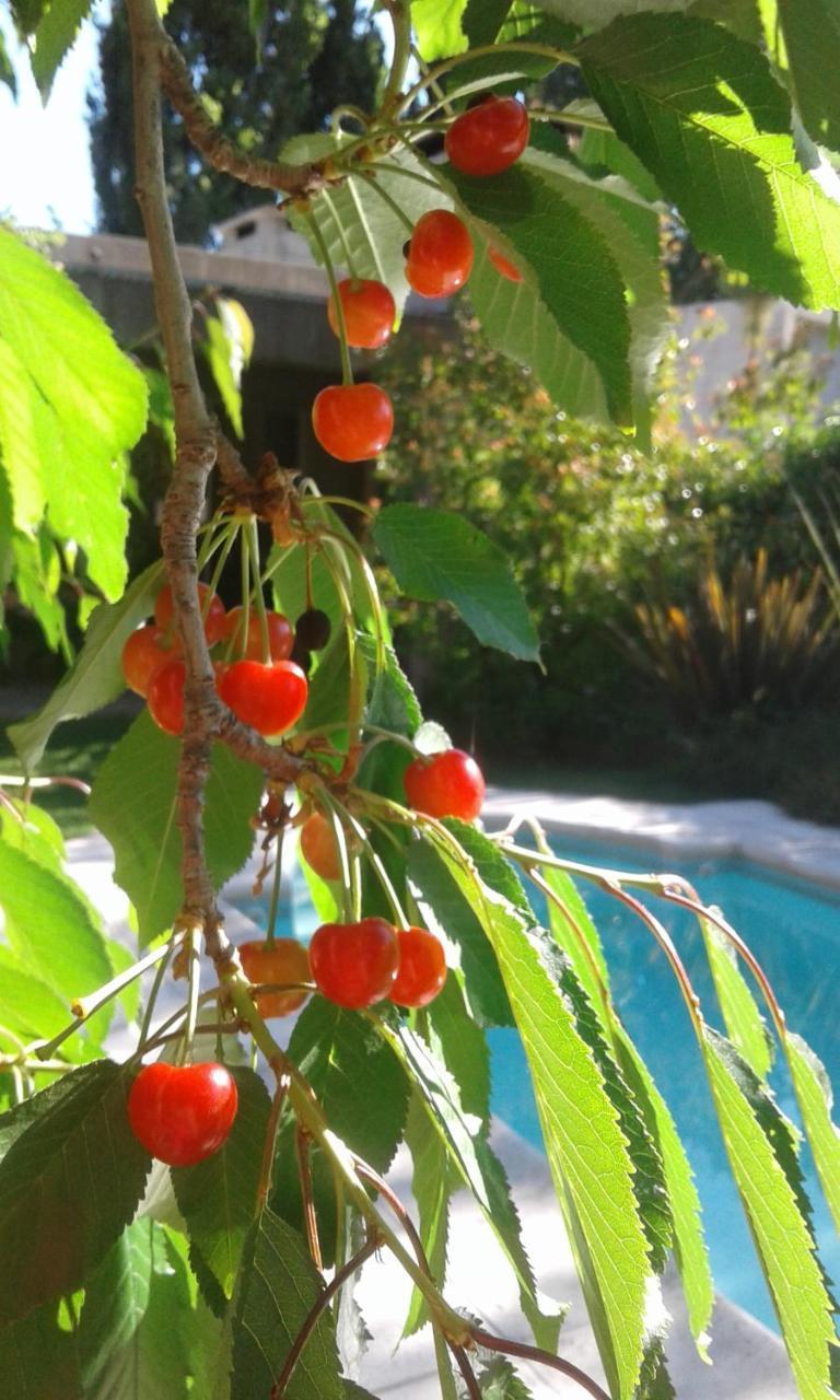 Casa Los Cerezos En Chacras De Coria Esterno foto